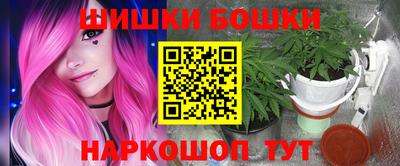 гашик Будённовск