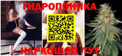 гашик Будённовск