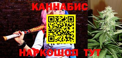 гашик Будённовск