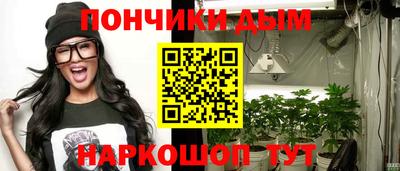 гашик Будённовск